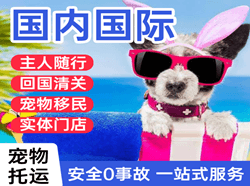浦东航空货运国际宠物托运 【国